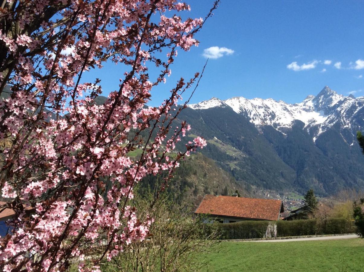 Double Room With A Kitchenette And Private Bathroom In A Beautiful Surrounding Sautens Exterior foto